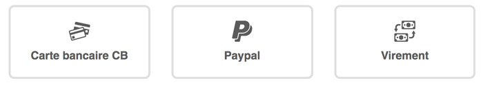 Capture d'écran des options de paiement pour commande de stickers avec boutons : carte bancaire CB, Paypal, et virement bancaire