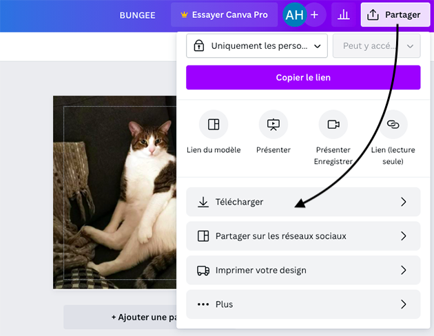 capture d'écran du menu pour télécharger l'image de l'autocollant que l'on vient de créer sur canva